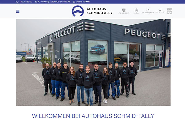 Autohaus Schmid-Fally — Website Ansicht